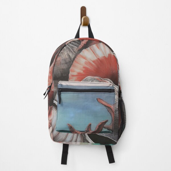 Item preview, Bahamas Shell Symphony: A Sketch Collection, No: 001 designed and sold by GAKStudio.