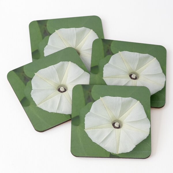 Item preview,  Ipomoea obscura morning glory designed and sold by Quennie Bacol Artwork.
