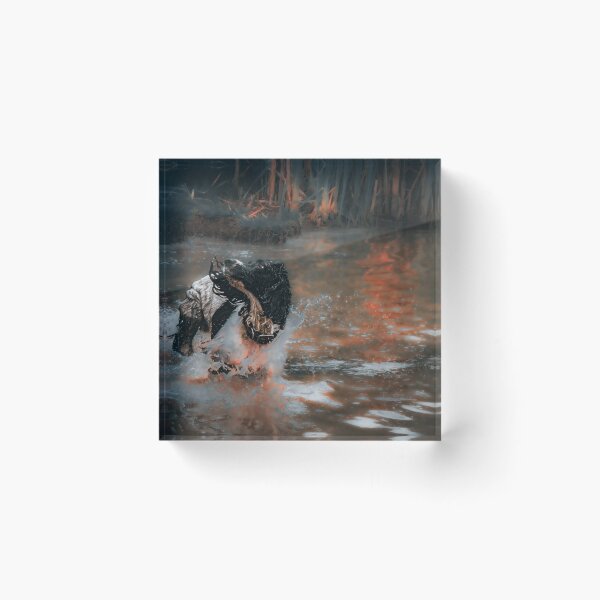 Item preview, Springer Spaniel designed and sold by Anthony Hiorns.