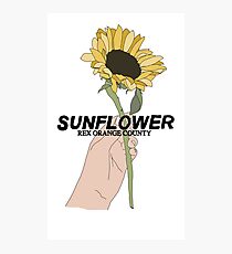 Rex Orange County Sunflower Photographic Print