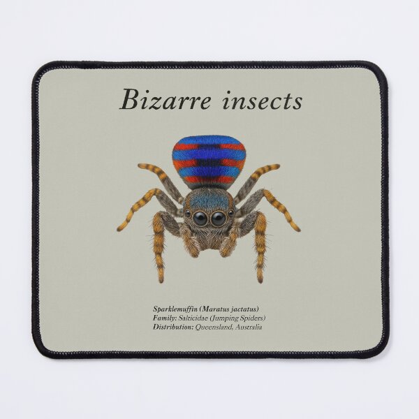 Item preview, Bizarre insects designed and sold by HiresFilm.