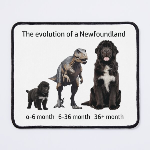 Item preview, The Evolution of a Newfoundland designed and sold by Ranout.
