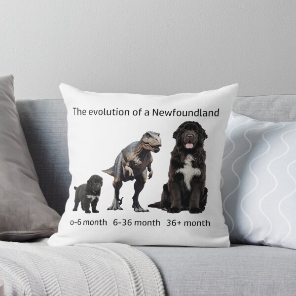 Item preview, The Evolution of a Newfoundland designed and sold by Ranout.