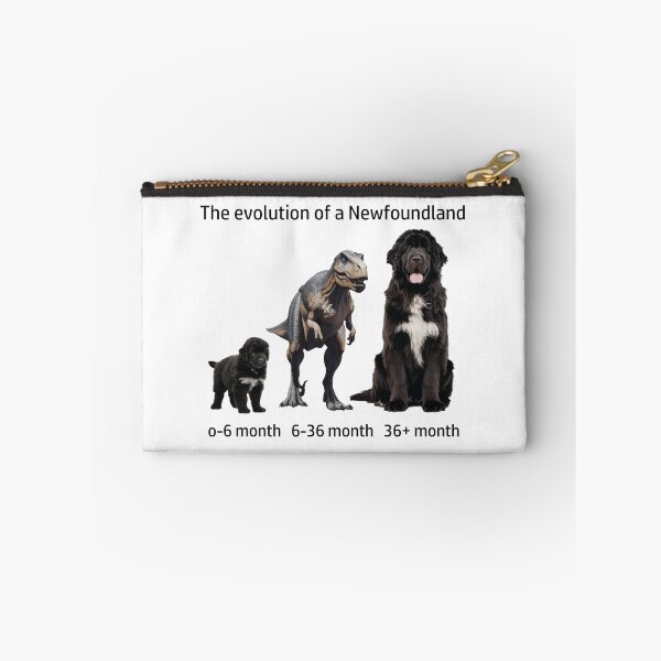 Item preview, The Evolution of a Newfoundland designed and sold by Ranout.