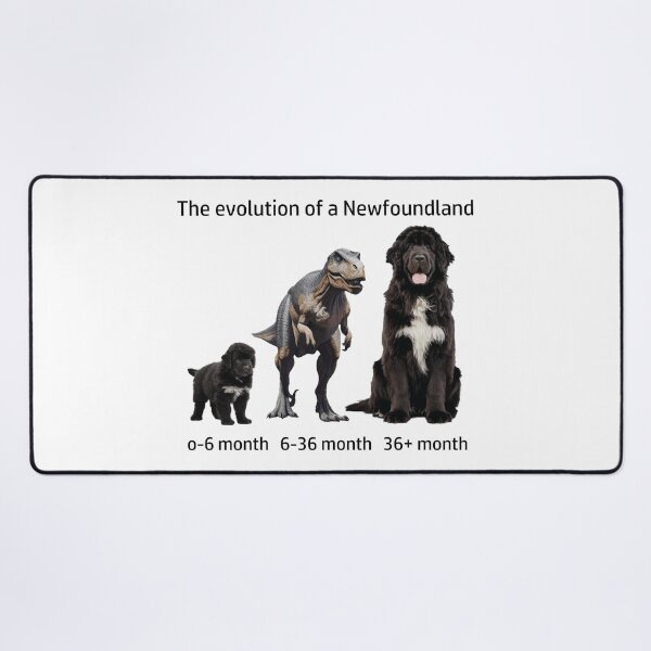 Item preview, The Evolution of a Newfoundland designed and sold by Ranout.