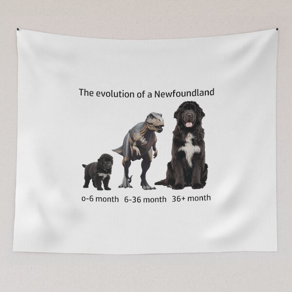 Item preview, The Evolution of a Newfoundland designed and sold by Ranout.