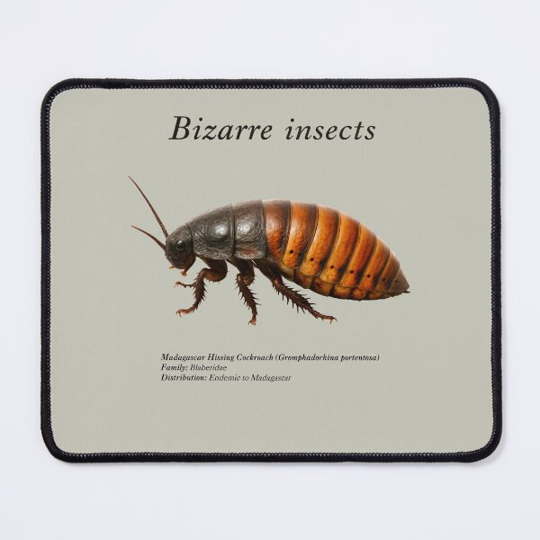 Item preview, Bizarre insects designed and sold by HiresFilm.