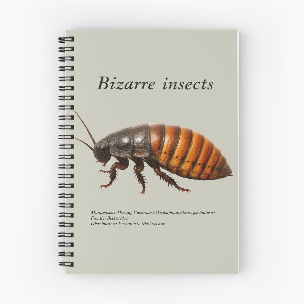 Item preview, Bizarre insects designed and sold by HiresFilm.