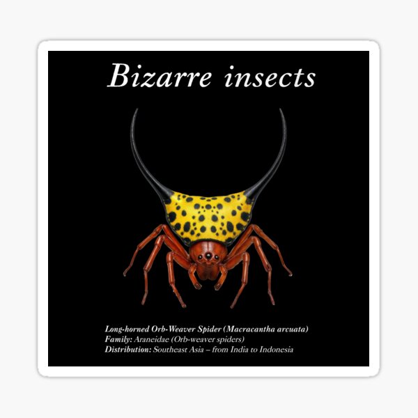 Item preview, Bizarre insects designed and sold by Sienna Design.