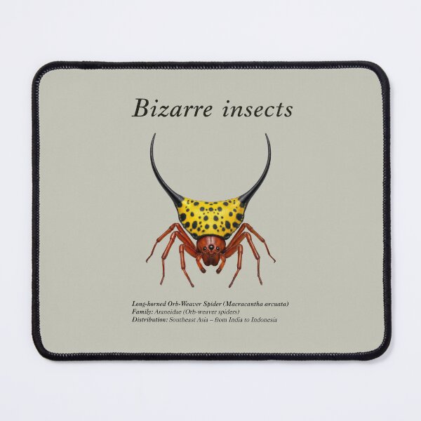 Item preview, Bizarre insects designed and sold by HiresFilm.