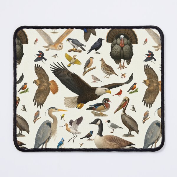 Item preview, Birds of North America Identification Chart Illustration Artwork designed and sold by kakarikihill.