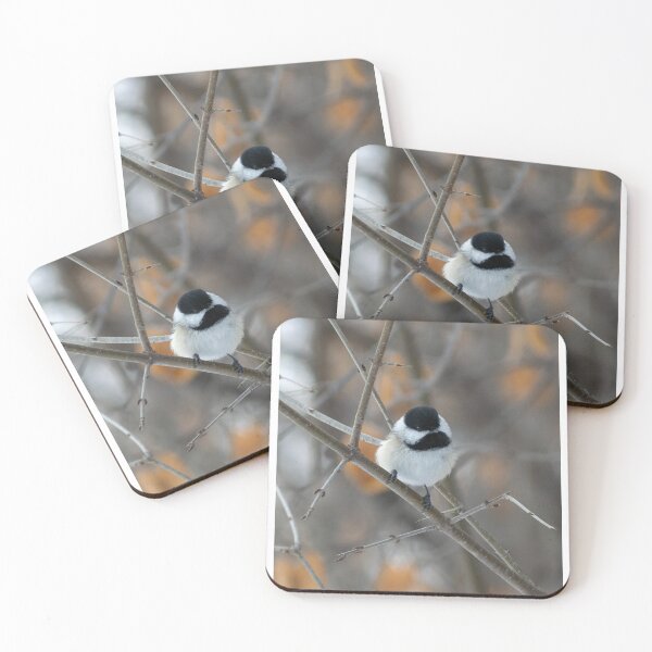 Item preview, Black Capped Chickadee  designed and sold by Now Loading....