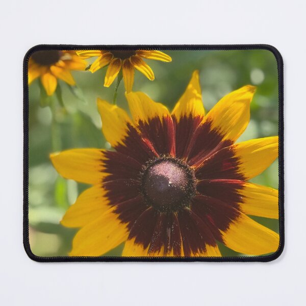 Item preview, Black Eyed Susan designed and sold by PhotosbyGray.