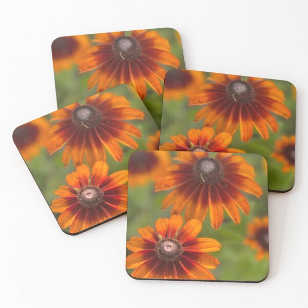 Item preview, Rudbeckia  designed and sold by PhotosbyGray.