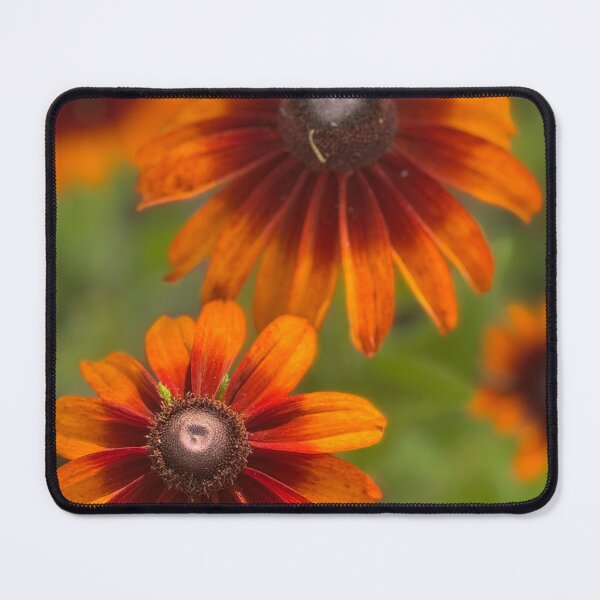 Item preview, Rudbeckia designed and sold by PhotosbyGray.