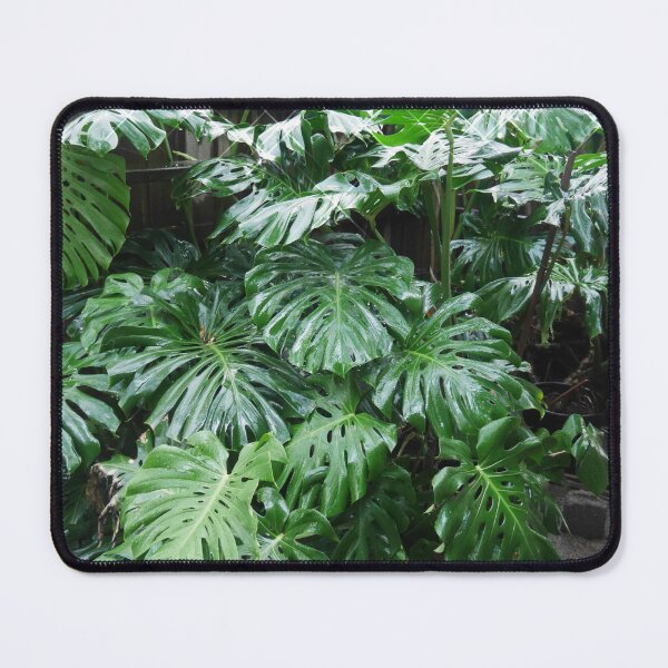 Item preview, Monstera Magnificence designed and sold by Larry Davis.