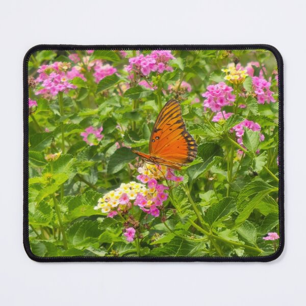 Item preview, Summer butterfly  designed and sold by Shoppinmammaj.