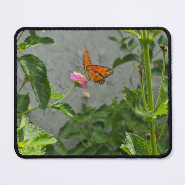 Item preview, Peaceful garden designed and sold by Shoppinmammaj.