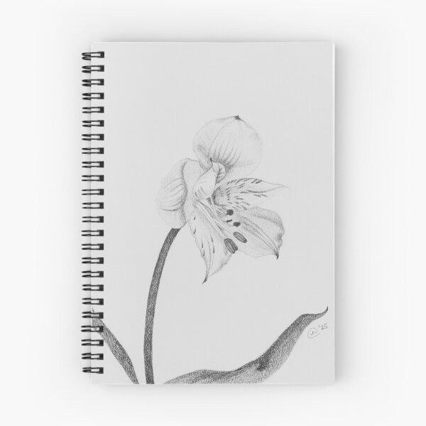 Item preview, Drawing - Peruvian Lily designed and sold by Crystal Vision Photo Art.