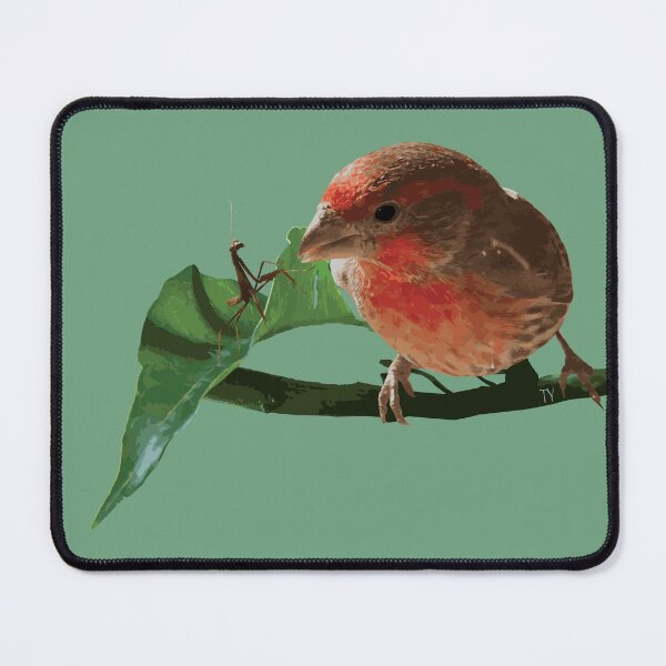 Item preview, Mantis and Finch designed and sold by TyBrockDesigns.