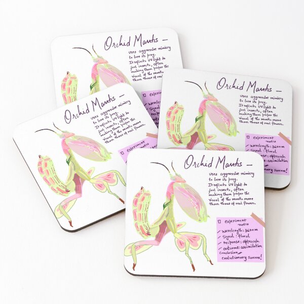 Item preview, Orchid Mantis  - experiment notes designed and sold by Aliens' Messenger.