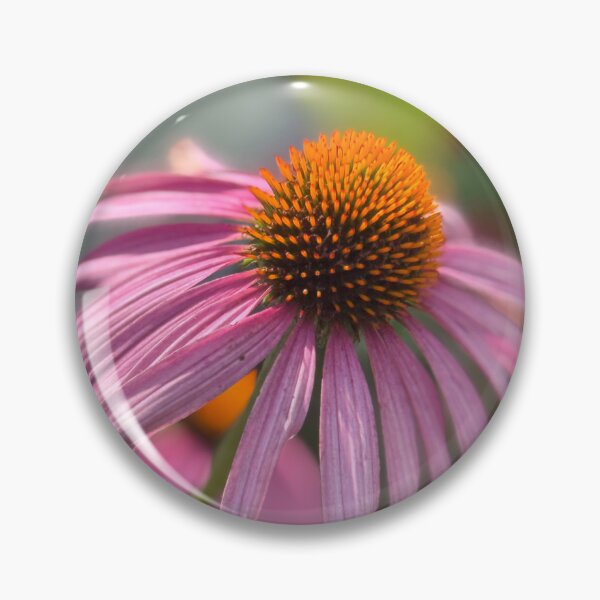 Item preview, Coneflower  designed and sold by PhotosbyGray.