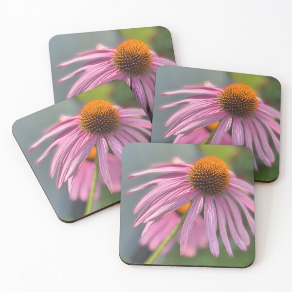 Item preview, Coneflower  designed and sold by PhotosbyGray.