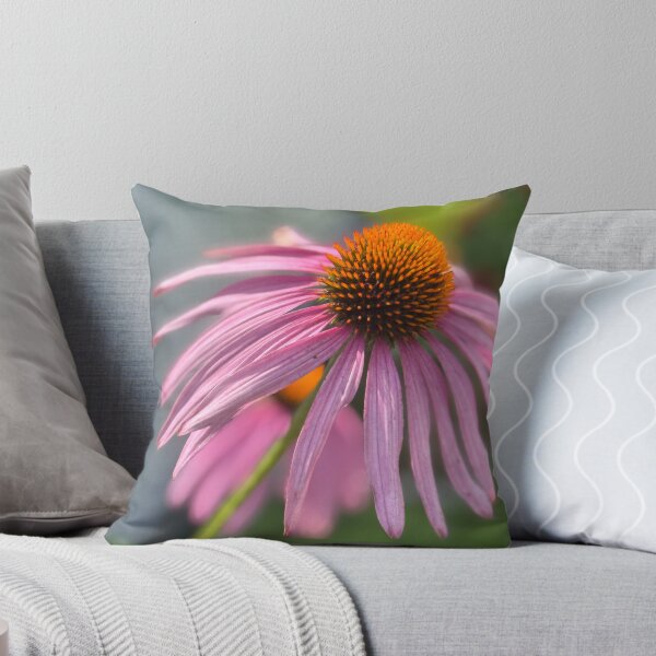 Item preview, Coneflower  designed and sold by PhotosbyGray.