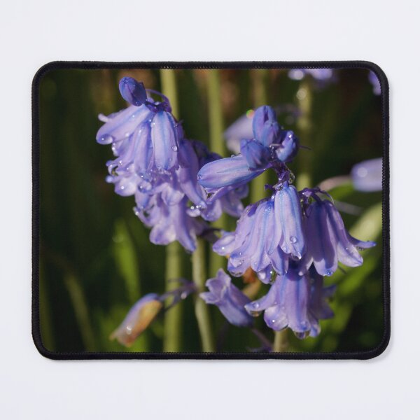 Item preview, Blue Bells  designed and sold by D-GaP.