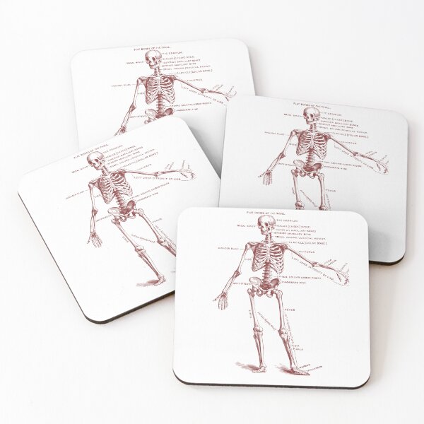 Item preview, Antique Anatomy Human Skeleton  designed and sold by Random-ftw.