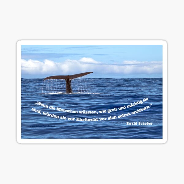Wal Ewald Sticker