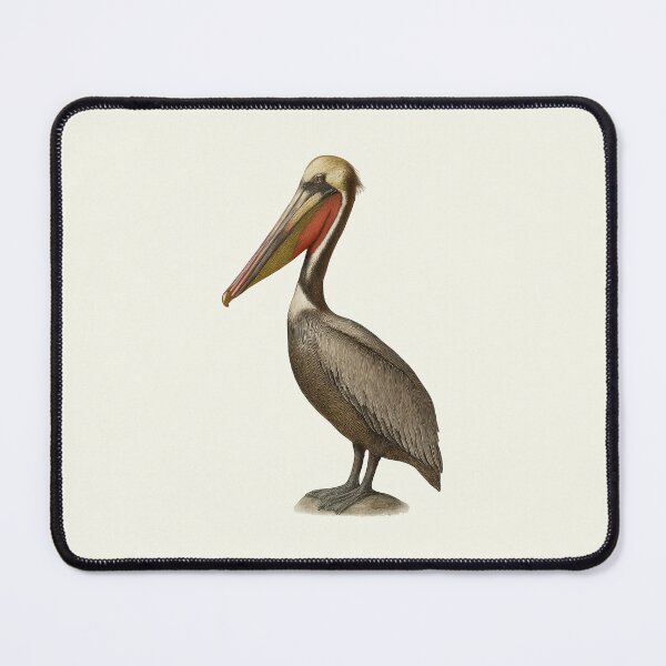 Item preview, Brown Pelican Illustration Style Bird Portrait Artwork designed and sold by kakarikihill.