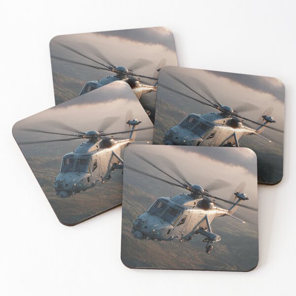 Item preview, Wildcat on Exercises designed and sold by Skyframe Aviation.