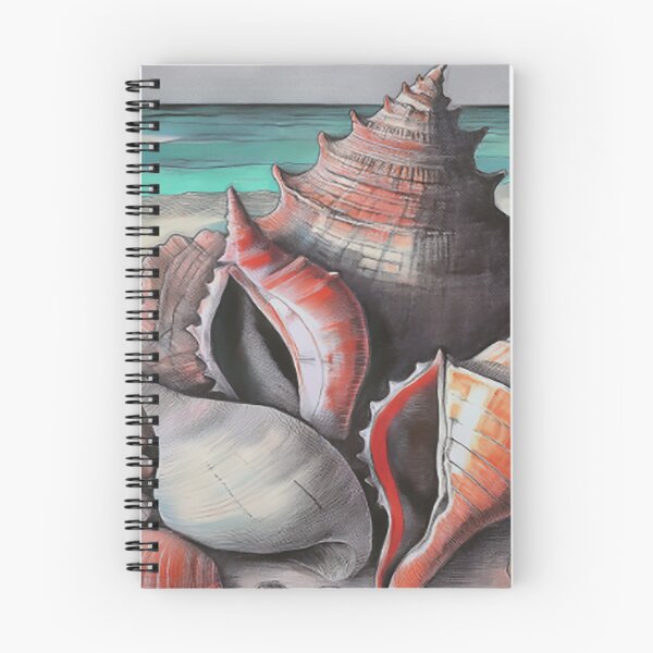 Item preview, Bahamas Shell Symphony: A Sketch Collection; No. 003 designed and sold by GAKStudio.