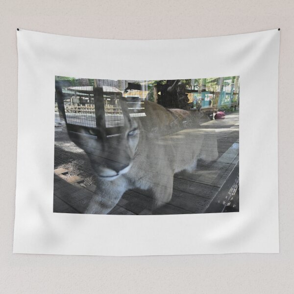 Item preview, Ghost Cat  designed and sold by MercerImages.
