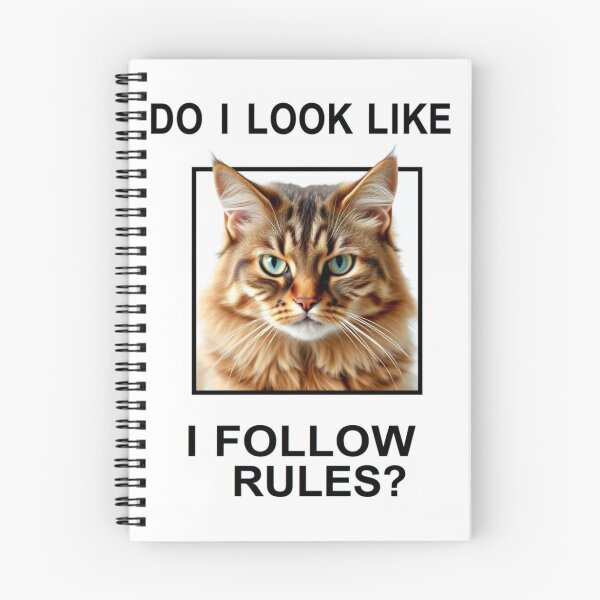 Item preview, Do i look like follow rules Birthday funny prank meme gift weird cat satire designed and sold by CheeseBlueprint.