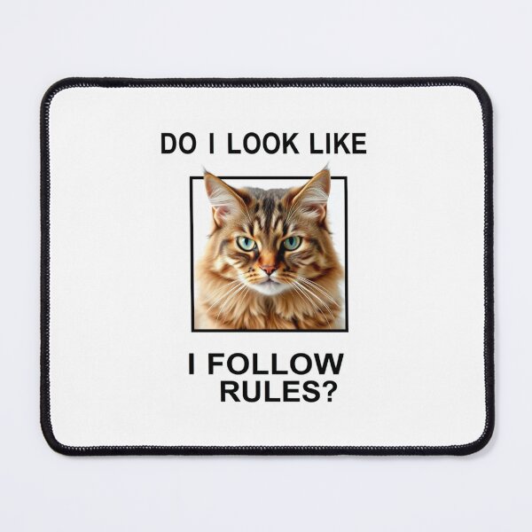 Item preview, Do i look like follow rules Birthday funny prank meme gift weird cat satire designed and sold by CheeseBlueprint.