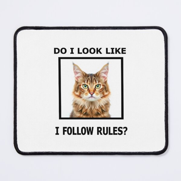 Item preview, Do i look like follow rules Birthday funny prank meme gift weird cat satire designed and sold by CheeseBlueprint.