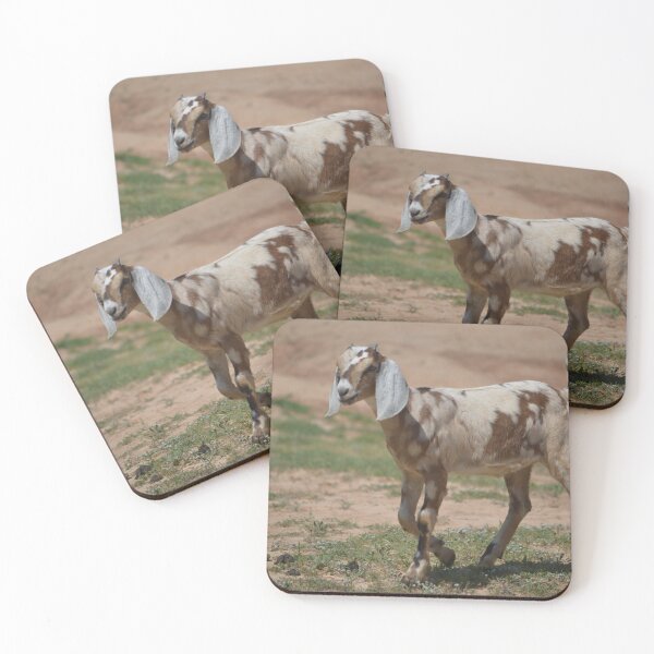 Item preview, Spotted Nubian dairy goat kid walking on our farm. Dream Girls Zena designed and sold by RobynPeters1836.