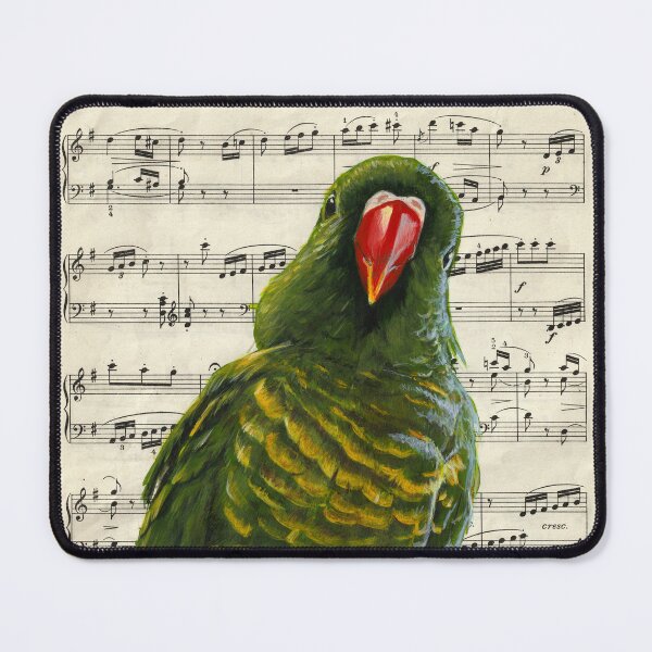 Item preview, Lulu Lorikeet designed and sold by Charlene's Art.
