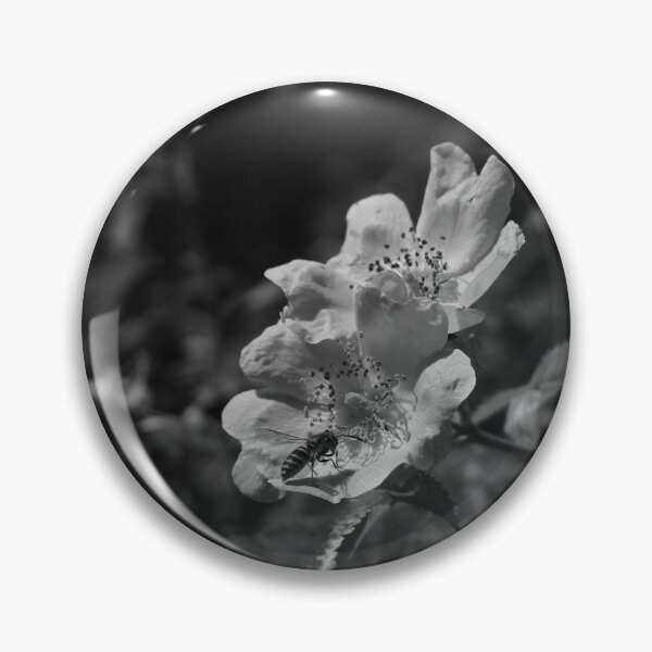 Item preview, The rose and the worker bee, during a walk in the woods, a bee on a wild rose, black and white photo designed and sold by Dee-Dee1.