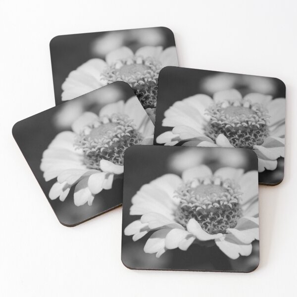 Item preview, Black and White Zinnia designed and sold by Abi Rose.