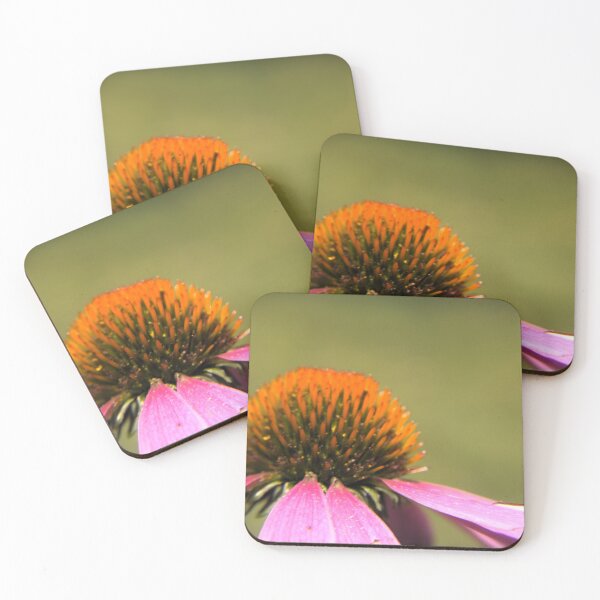 Item preview, Echinacea Closeup designed and sold by Abi Rose.