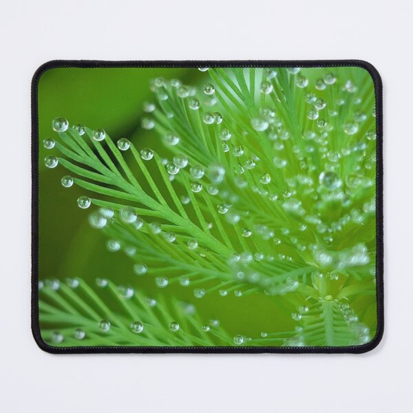 Item preview, Wet Feathers designed and sold by Emily Noyes.