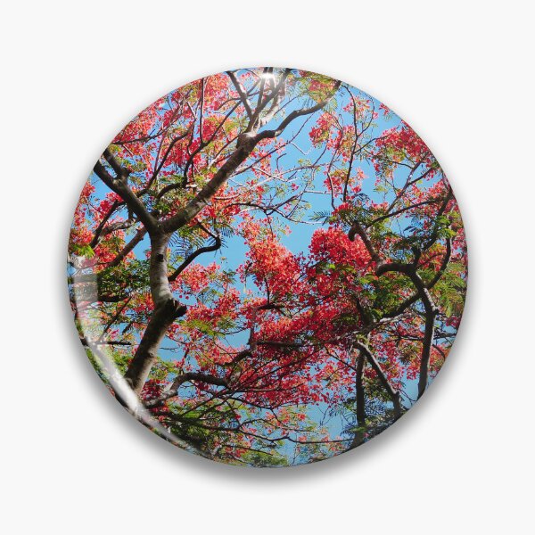 Item preview, Flame Tree Under A Blue Sky designed and sold by MadeulookArt.