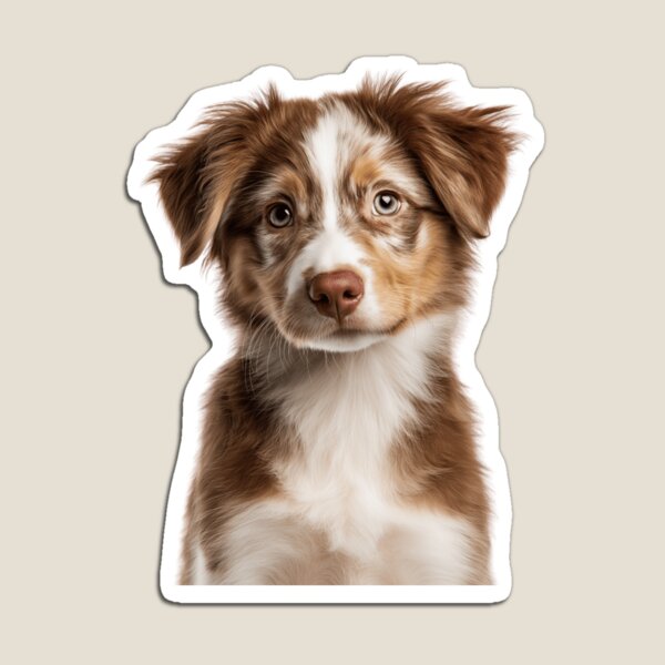 Artikel-Vorschau von Entzückender Baby Australian Shepherd für süße Australian Shepherd Welpenliebhaber, designt und verkauft von LazyOwlStore.