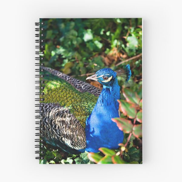 Item preview, Peacock in the sea of leaves – nature’s colorful splendor designed and sold by Pepe2024.