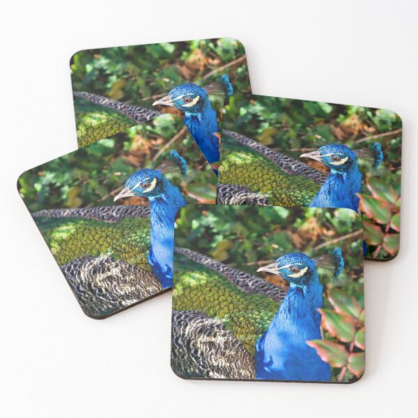 Item preview, Peacock in the sea of leaves – nature’s colorful splendor designed and sold by Pepe2024.