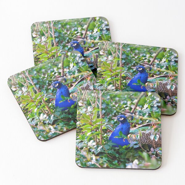 Item preview, Hidden in the Green – The Peacock in the Thicket designed and sold by Pepe2024.