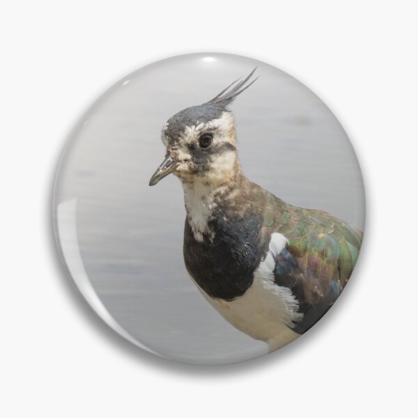 Item preview, Northern Lapwing designed and sold by LaurenTucker.